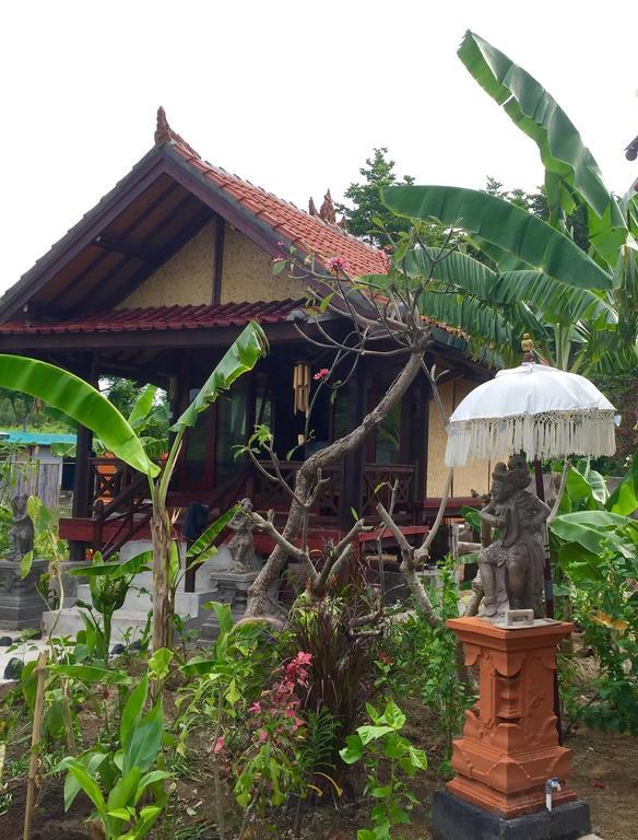 Mahogany Cottage Gili Meno Room photo