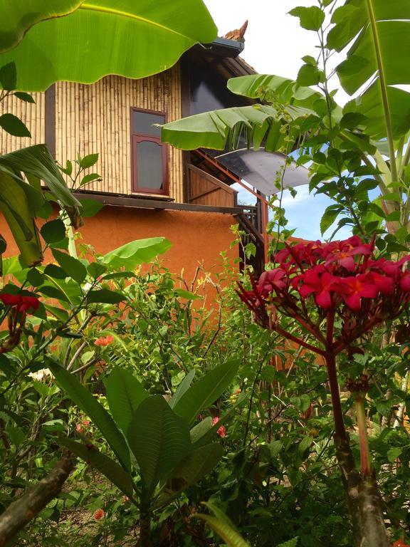 Mahogany Cottage Gili Meno Room photo