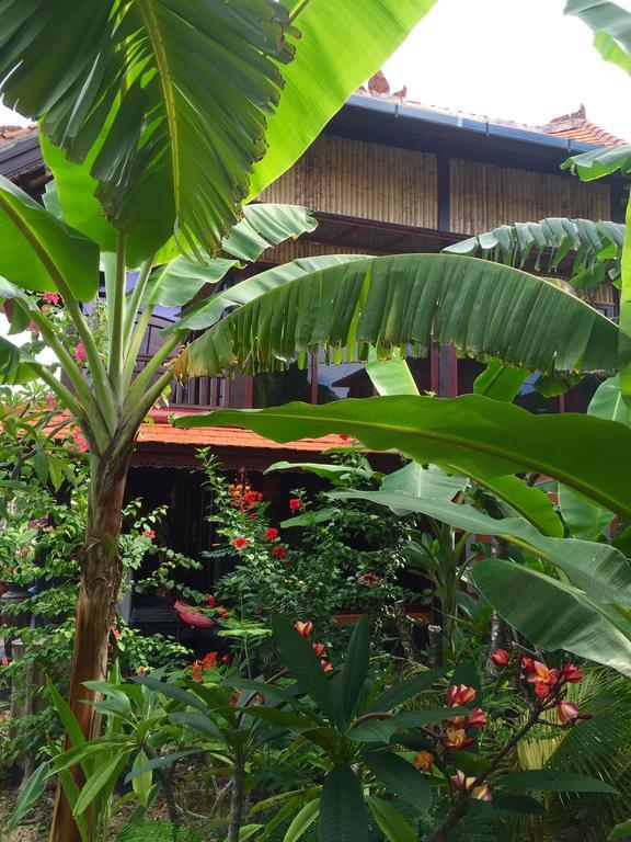 Mahogany Cottage Gili Meno Room photo