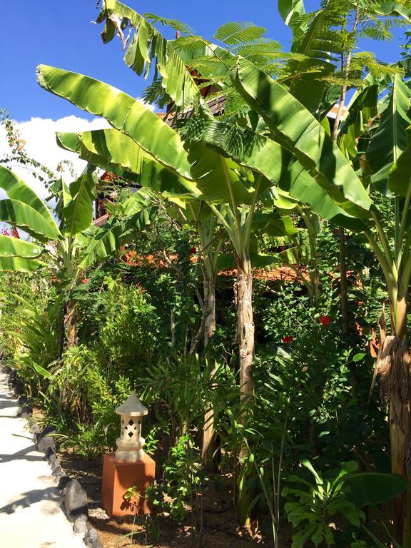 Mahogany Cottage Gili Meno Exterior photo