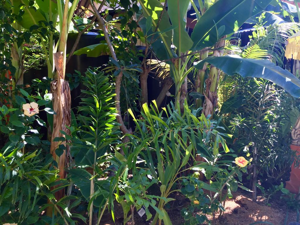 Mahogany Cottage Gili Meno Exterior photo